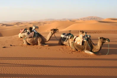 Morocco Desert Tour from Fes to Marrakech – 5 days