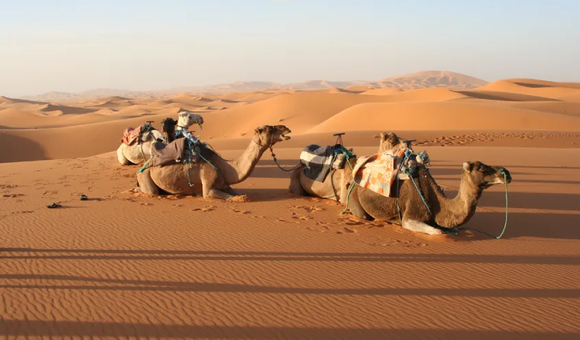 5-day desert tour from Fes to Marrakech