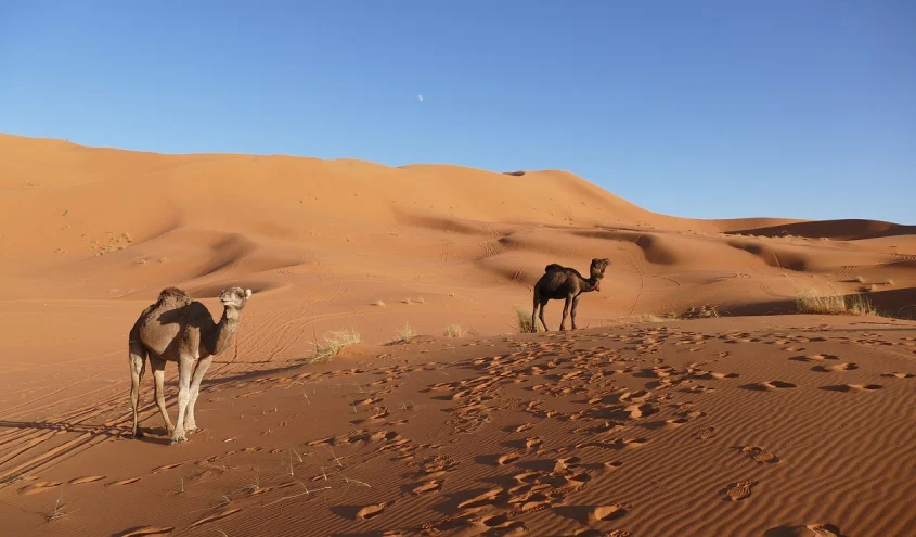 2-Day Tour from Ouarzazate to Erg Chegaga Desert