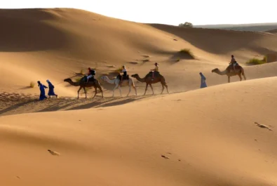 Tinfou Dunes Desert Day Trip from Ouarzazate