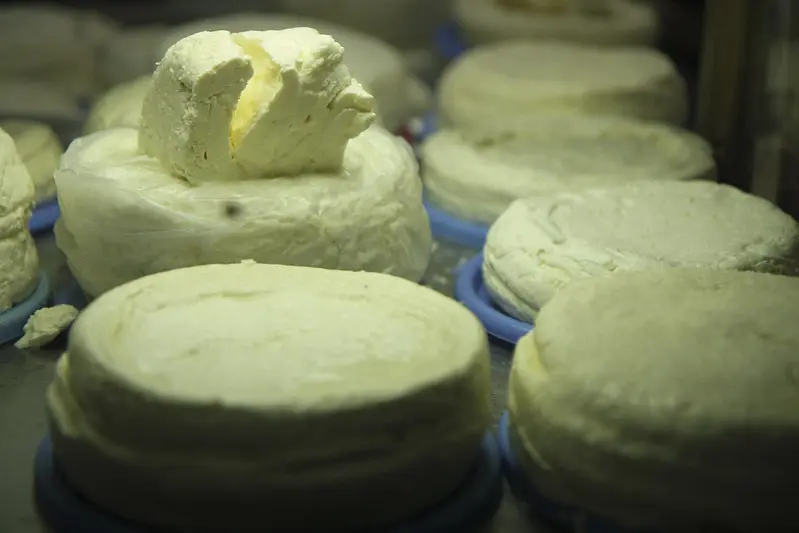 Chefchaouen’s Authentic Goat Cheese