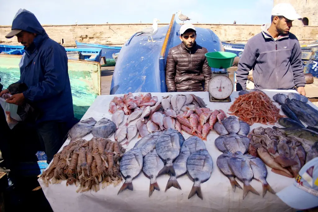Essaouira Fish Market